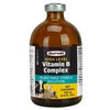 B12 COMPLEX