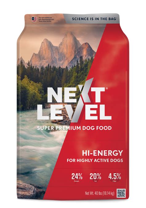 NEXT LEVEL HIGH ENERGY