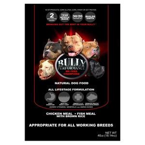 BULLY PERFORMANCE