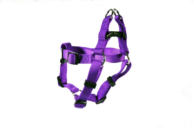 HARNESS STEP IN 3/4 20-30"