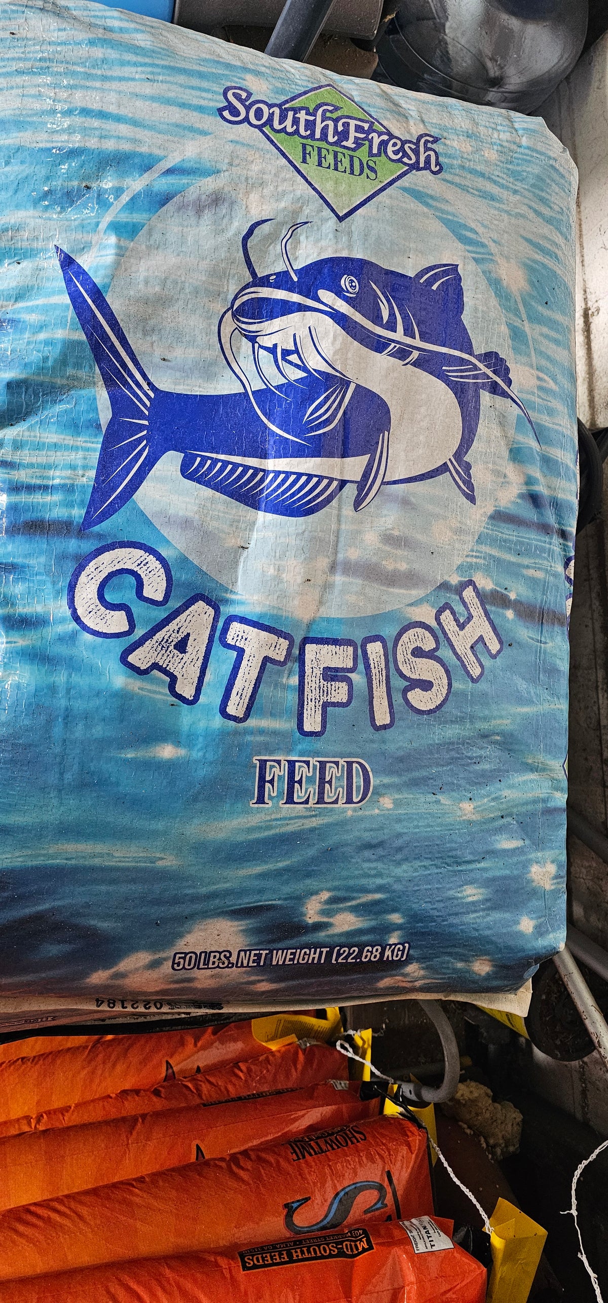 FLOATING FISH