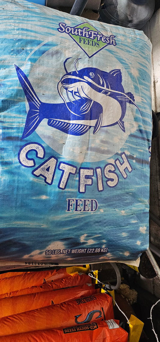 FLOATING FISH