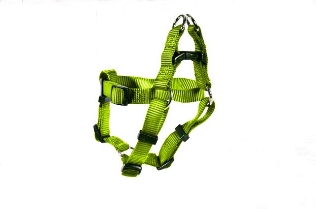 HARNESS STEP IN 3/4 20-30"