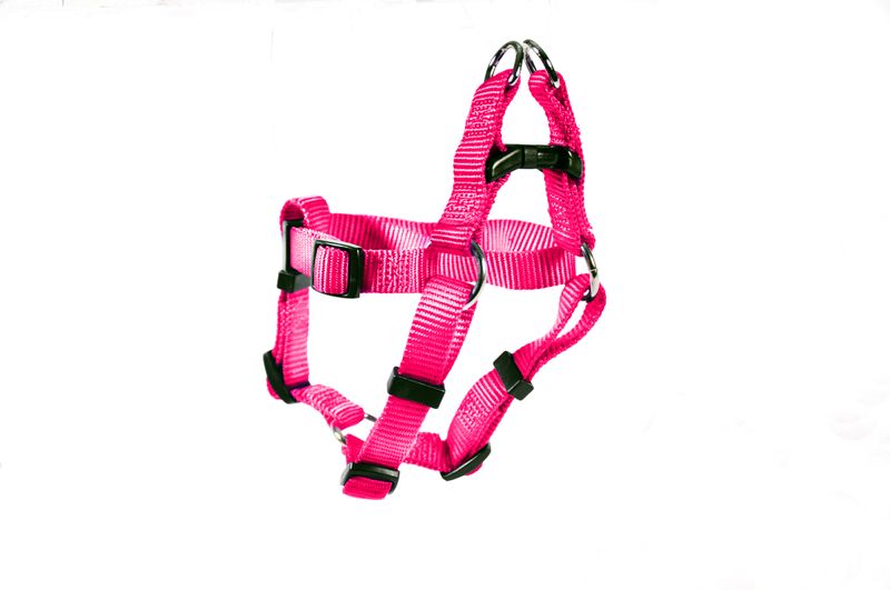 HARNESS STEP IN 3/4 20-30"
