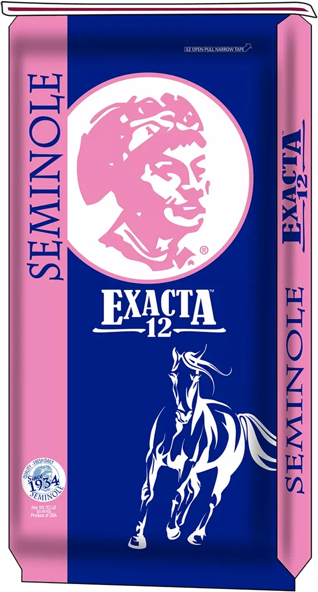 EXACTA 12
