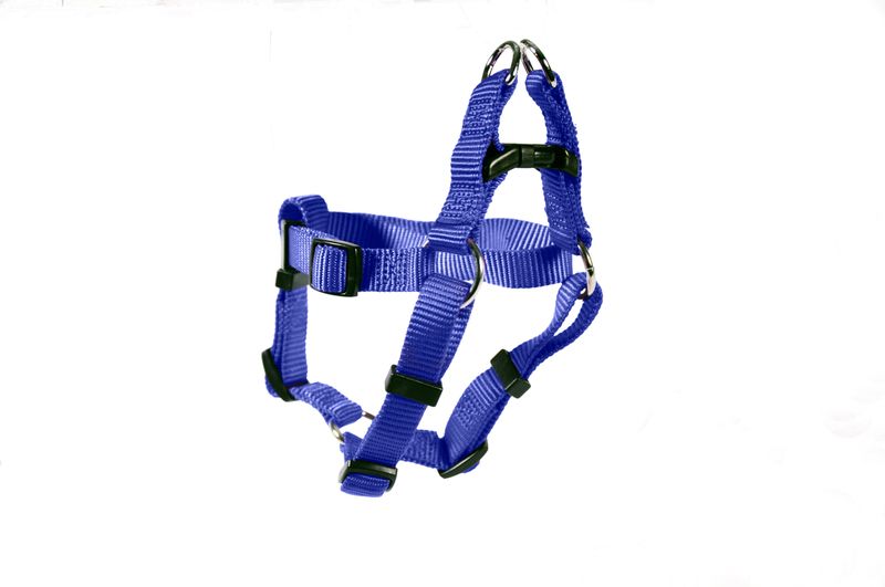 HARNESS STEP IN 3/4 20-30"