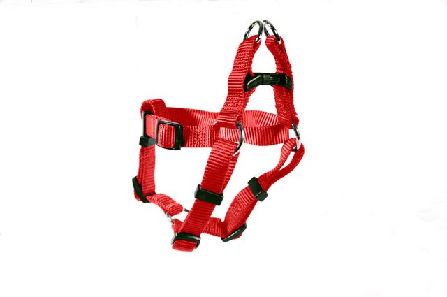 HARNESS STEP IN 3/8 11-14"