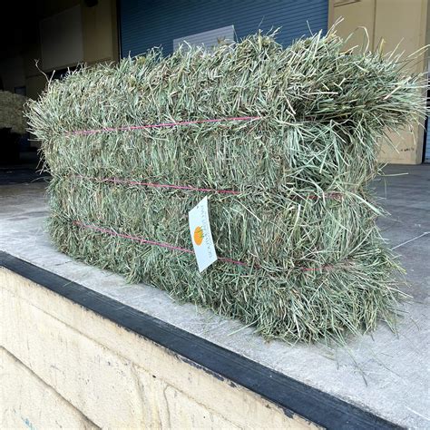 3 TIE TIMOTHY HAY