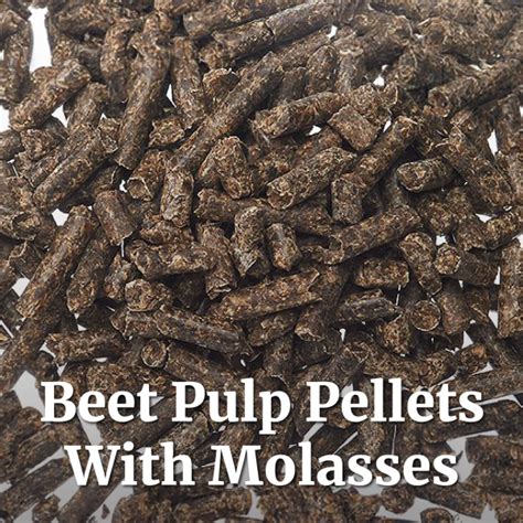 BEET PULP W/MOLASSES