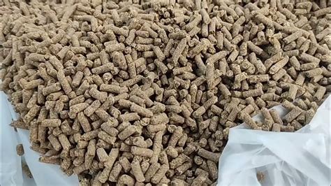 LAYER PELLET 50 LBS