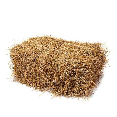 STRAW HAY BALE