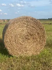 COW ROLL