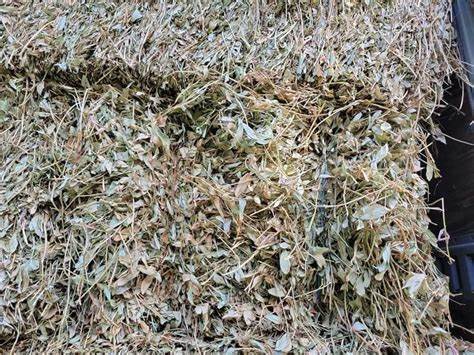 PEANUT HAY BALE