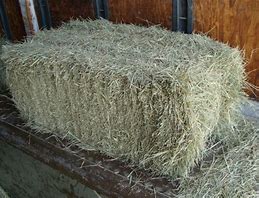 COASTAL HAY BALE