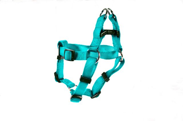 HARNESS STEP IN 3/4 20-30"