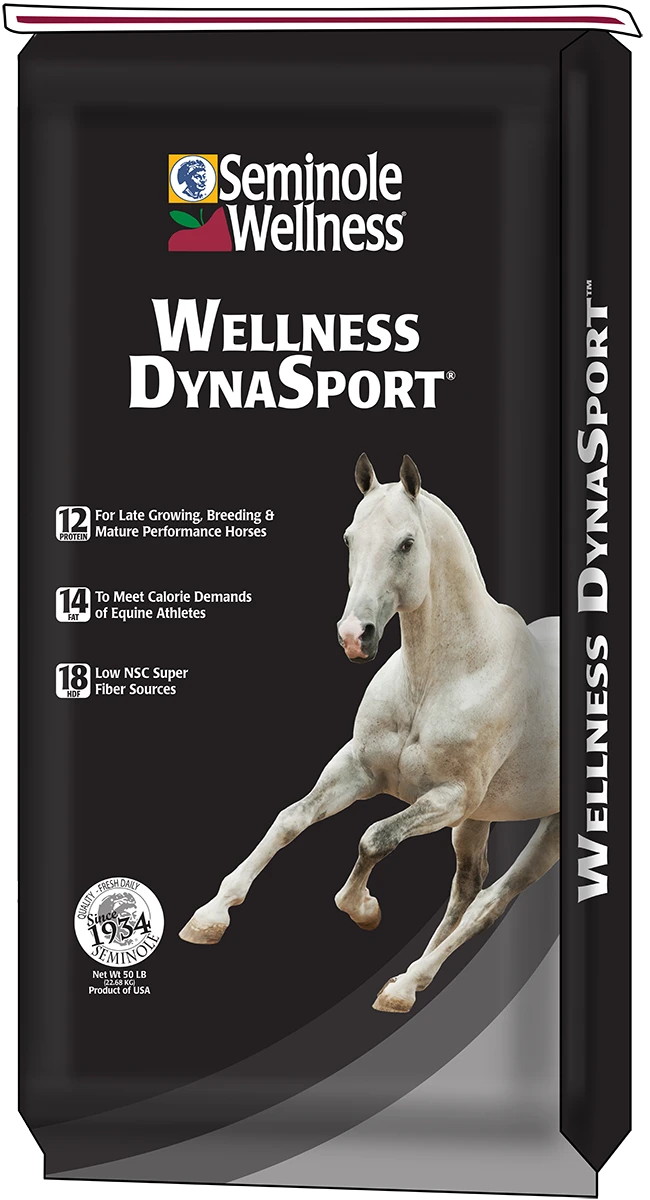 WELLNESS DYNASPORT
