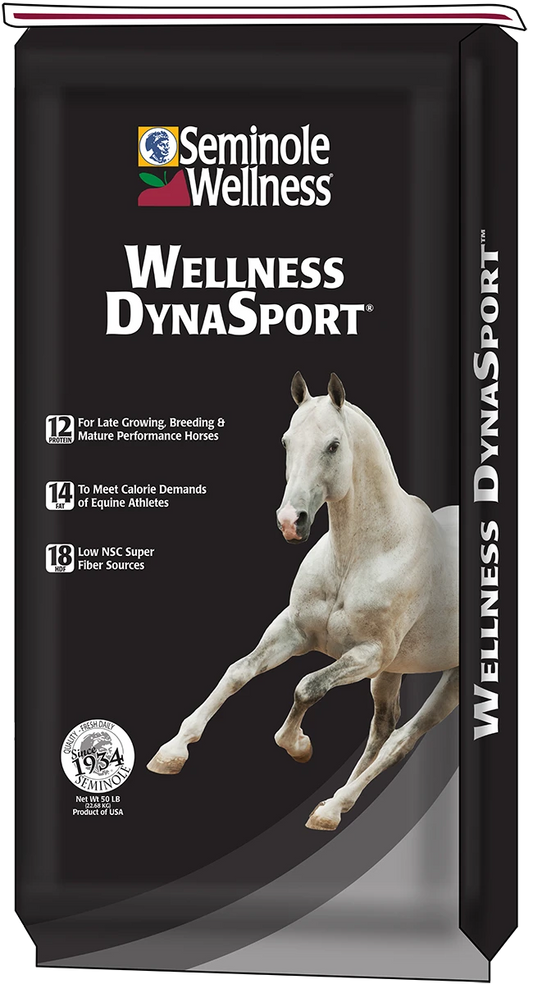 WELLNESS DYNASPORT