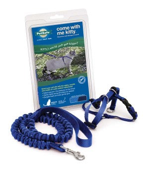 COME WITH ME KITTY HARNESS BL