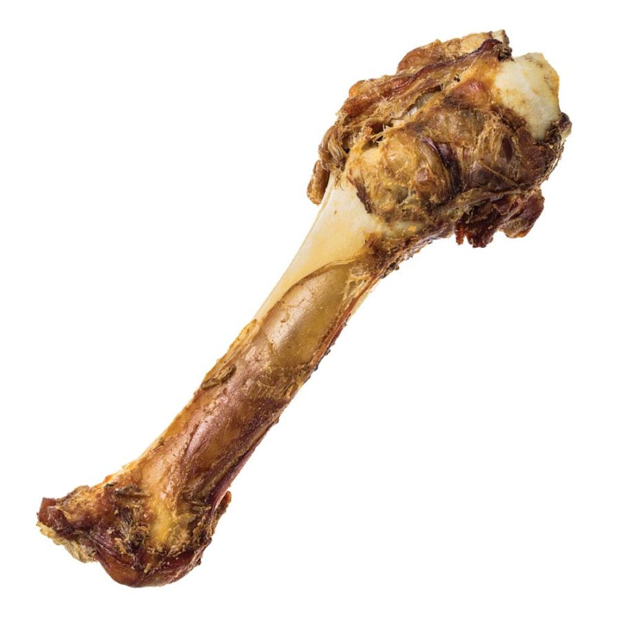 SHANK BONE
