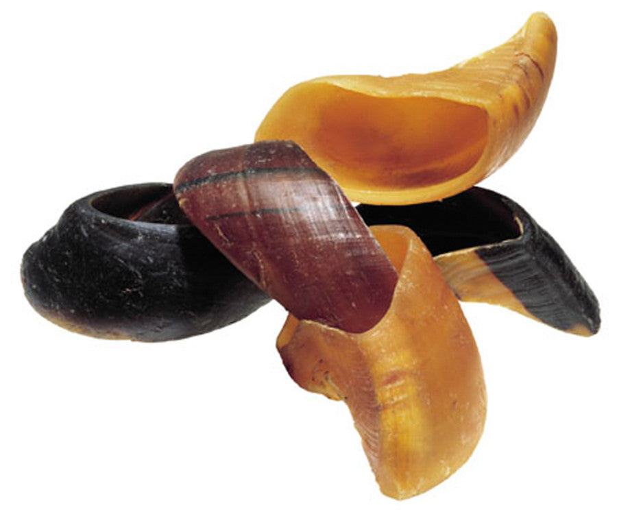 HOOF SINGLE